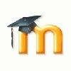 Picture of CUSCS Disabled Moodle Administrator